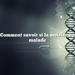 Question : Comment savoir si la moisissure vous rend malade